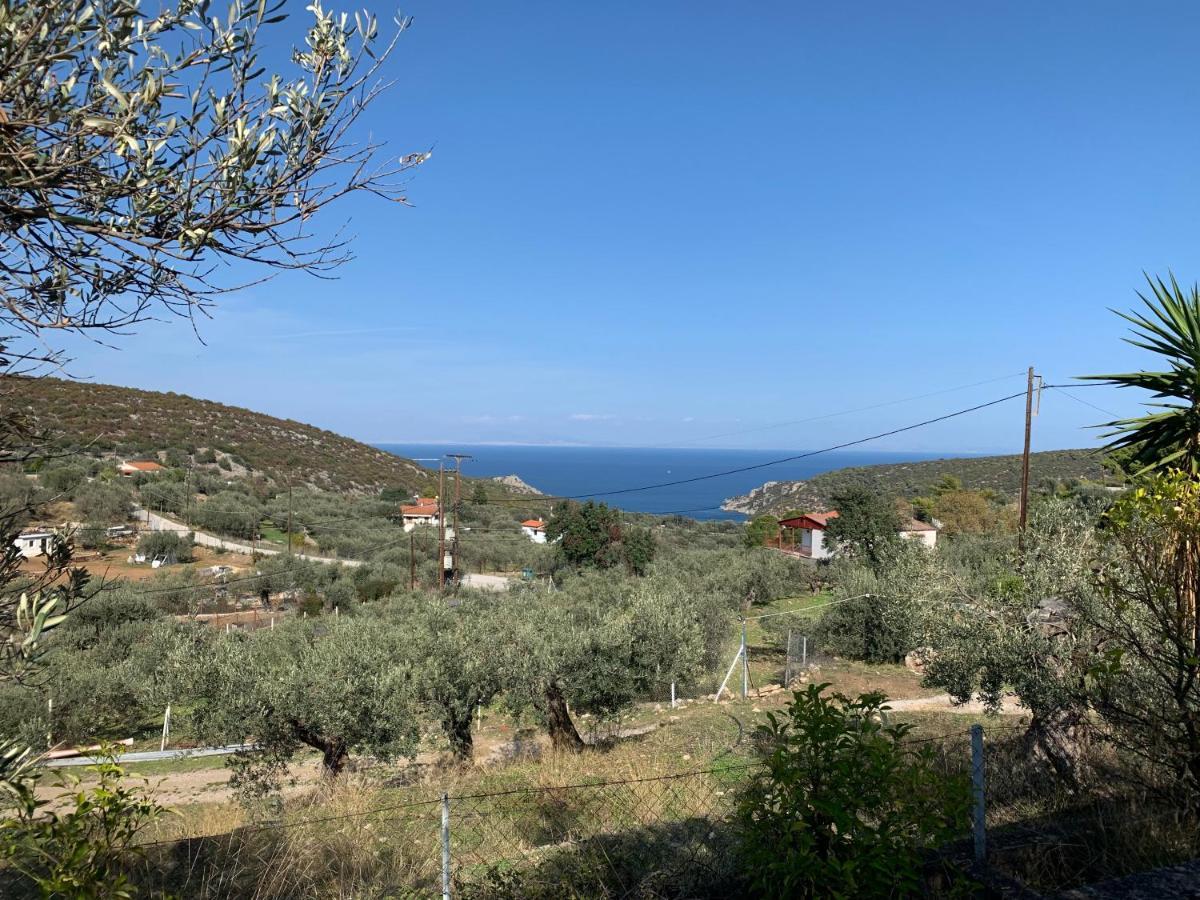 הוילה Poros Town Olive Hill Private House מראה חיצוני תמונה