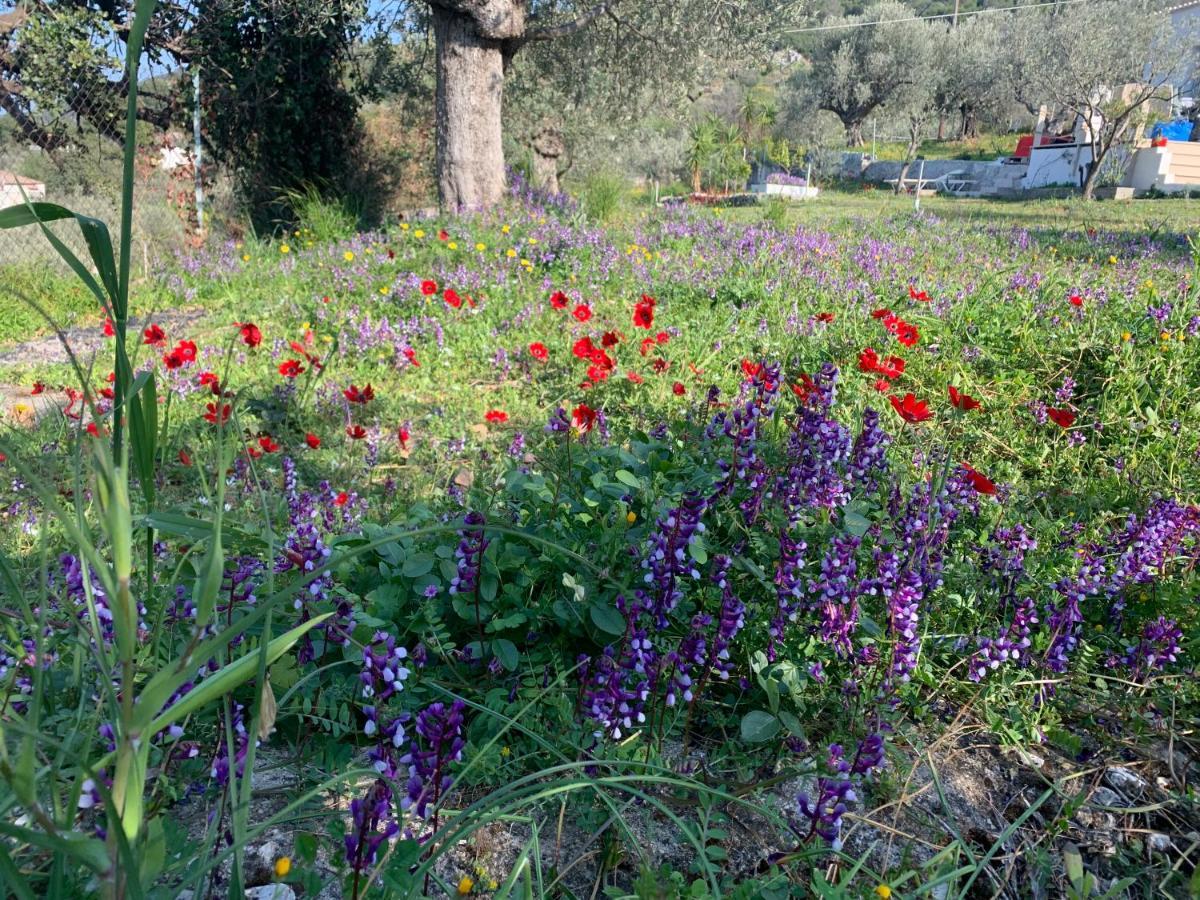 הוילה Poros Town Olive Hill Private House מראה חיצוני תמונה