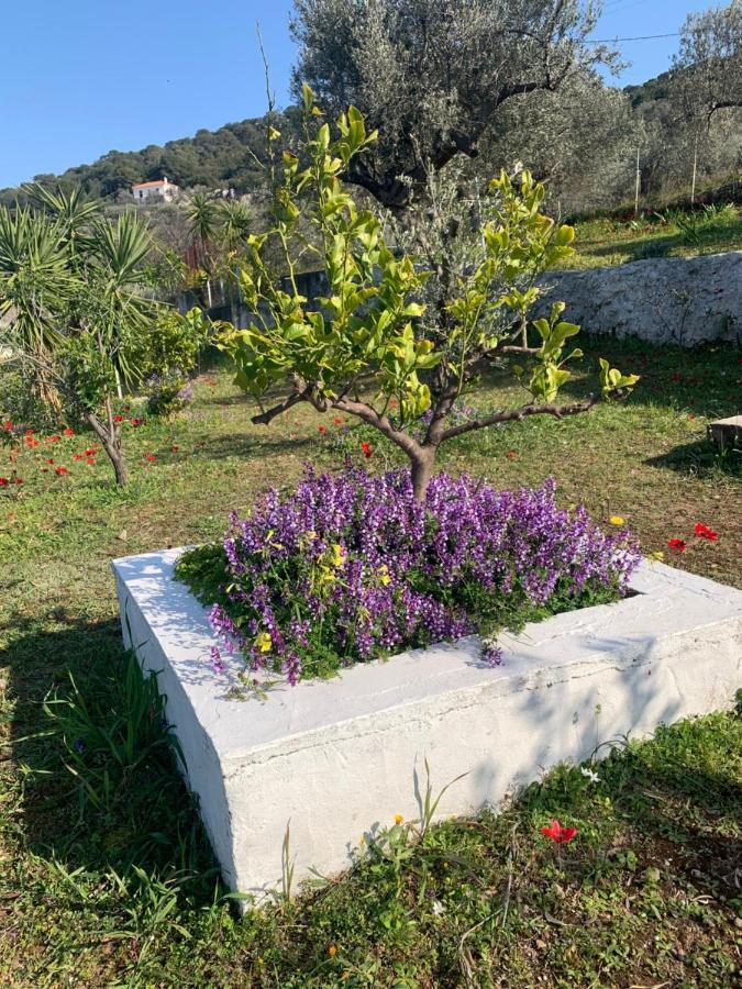 הוילה Poros Town Olive Hill Private House מראה חיצוני תמונה