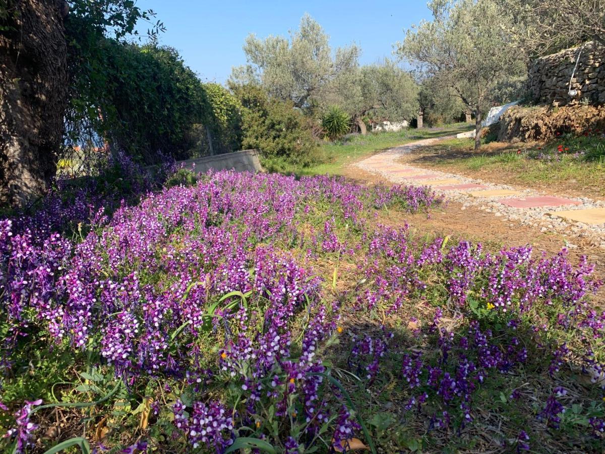 הוילה Poros Town Olive Hill Private House מראה חיצוני תמונה